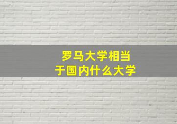 罗马大学相当于国内什么大学