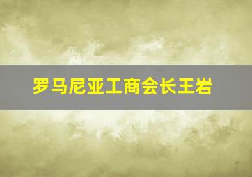 罗马尼亚工商会长王岩