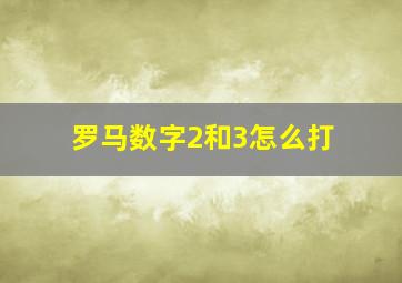 罗马数字2和3怎么打