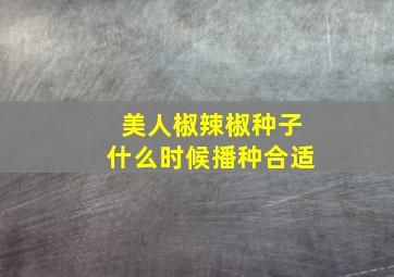 美人椒辣椒种子什么时候播种合适