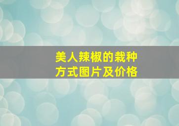 美人辣椒的栽种方式图片及价格