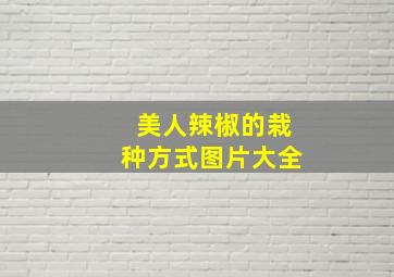 美人辣椒的栽种方式图片大全