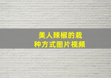 美人辣椒的栽种方式图片视频