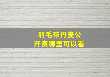 羽毛球丹麦公开赛哪里可以看