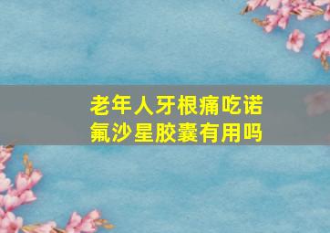 老年人牙根痛吃诺氟沙星胶囊有用吗