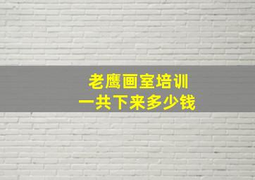 老鹰画室培训一共下来多少钱