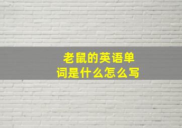 老鼠的英语单词是什么怎么写