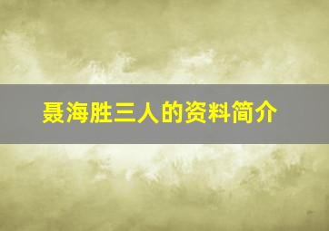 聂海胜三人的资料简介