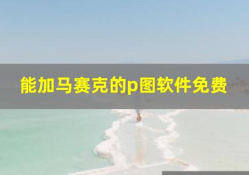 能加马赛克的p图软件免费