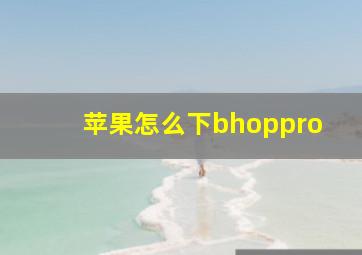 苹果怎么下bhoppro