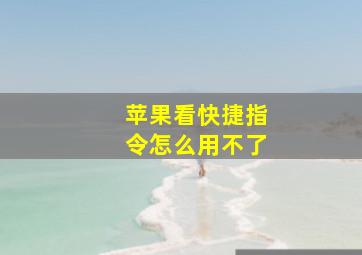 苹果看快捷指令怎么用不了