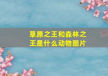 草原之王和森林之王是什么动物图片