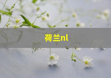 荷兰nl