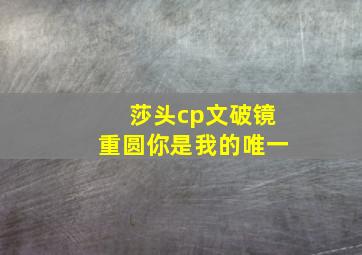 莎头cp文破镜重圆你是我的唯一