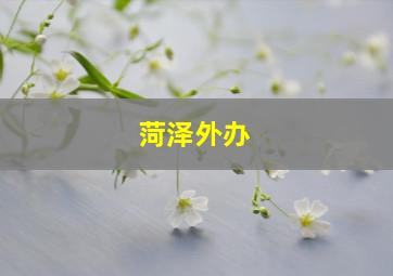 菏泽外办