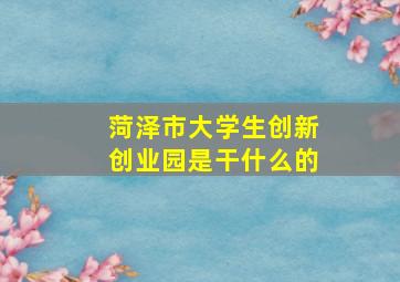 菏泽市大学生创新创业园是干什么的