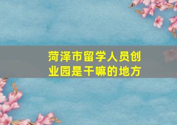 菏泽市留学人员创业园是干嘛的地方