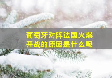 葡萄牙对阵法国火爆开战的原因是什么呢