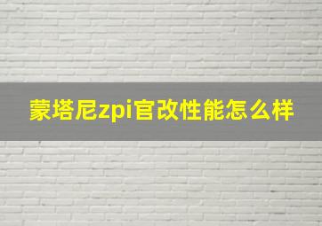 蒙塔尼zpi官改性能怎么样