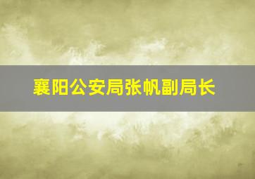 襄阳公安局张帆副局长