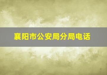 襄阳市公安局分局电话