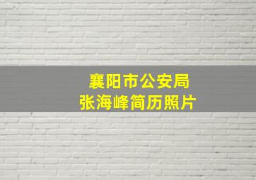 襄阳市公安局张海峰简历照片