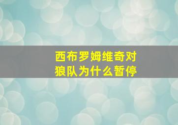 西布罗姆维奇对狼队为什么暂停