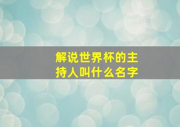 解说世界杯的主持人叫什么名字