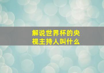 解说世界杯的央视主持人叫什么