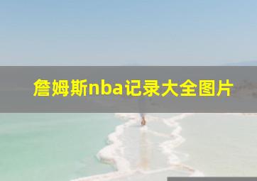 詹姆斯nba记录大全图片