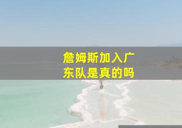 詹姆斯加入广东队是真的吗