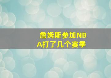 詹姆斯参加NBA打了几个赛季