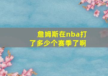 詹姆斯在nba打了多少个赛季了啊