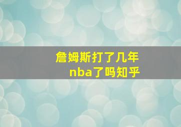 詹姆斯打了几年nba了吗知乎