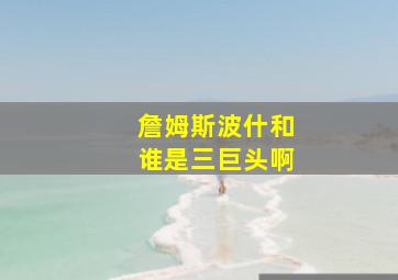 詹姆斯波什和谁是三巨头啊