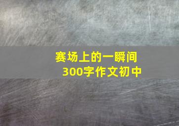 赛场上的一瞬间300字作文初中