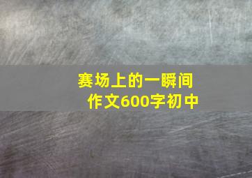 赛场上的一瞬间作文600字初中