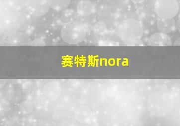 赛特斯nora