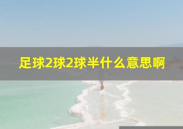 足球2球2球半什么意思啊