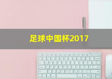 足球中国杯2017