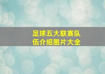 足球五大联赛队伍介绍图片大全