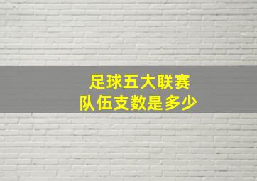 足球五大联赛队伍支数是多少