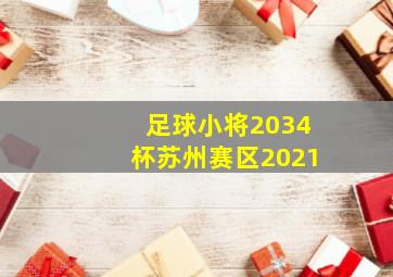 足球小将2034杯苏州赛区2021