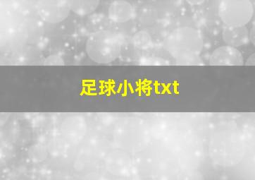 足球小将txt