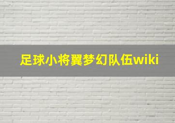 足球小将翼梦幻队伍wiki