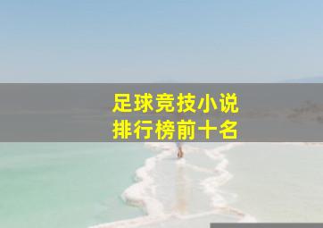 足球竞技小说排行榜前十名