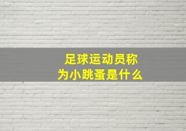 足球运动员称为小跳蚤是什么