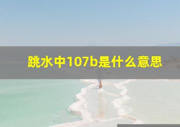 跳水中107b是什么意思