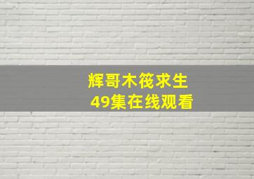 辉哥木筏求生49集在线观看