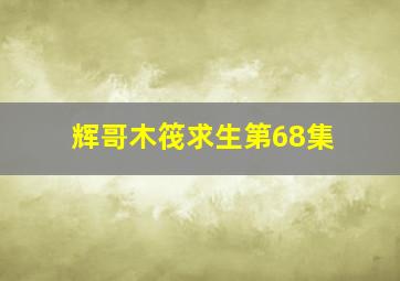 辉哥木筏求生第68集